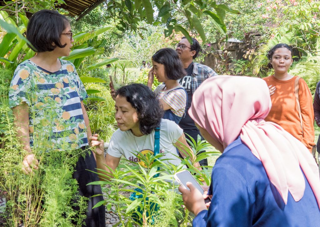 Edible Garden Tour Gardens Yabbiekayu