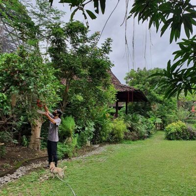 garden